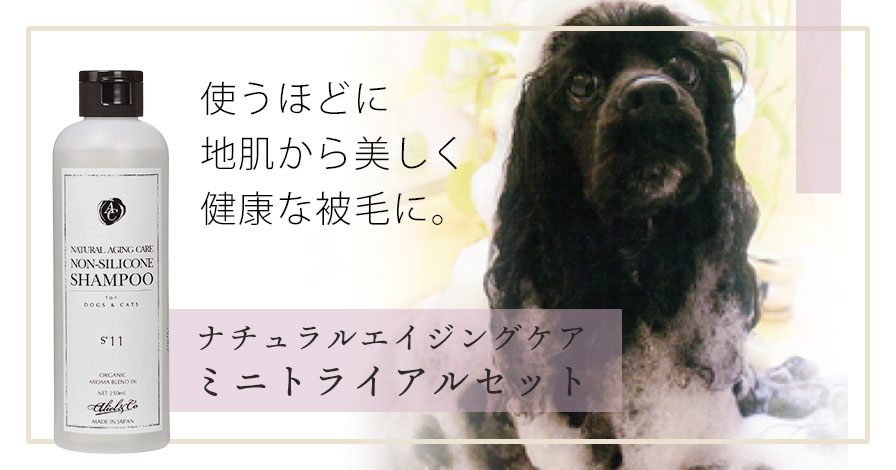 アリールアンドシー ナチュラルエイジングケア ミニトライアルセット