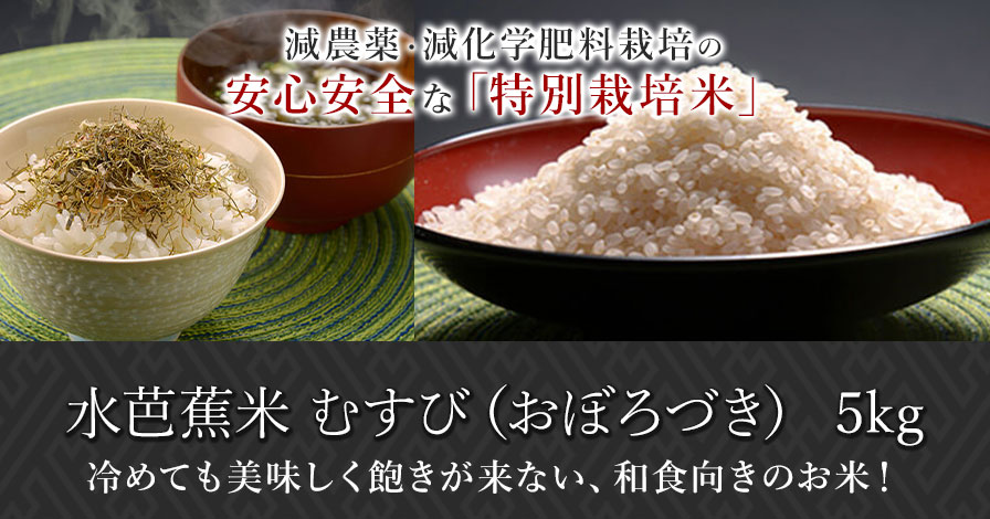 北海道 水芭蕉米 むすび(おぼろづき 5kg)