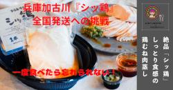 焙煎菊芋茶500グラム✖︎2 １キロ 山本漢方 菊芋茶100％ ( 3g*20包 )/ : 爽快ドラッグ - 通販