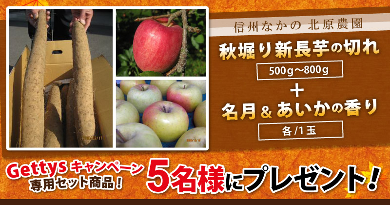 長野産りんごと長芋の詰め合わせセット
