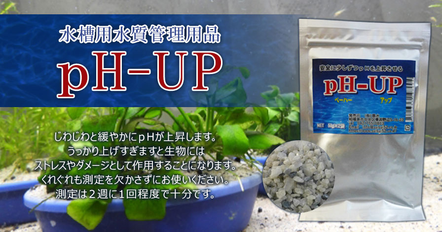 【水槽用水質管理用品 】pH-UP(ペーハーアップ)