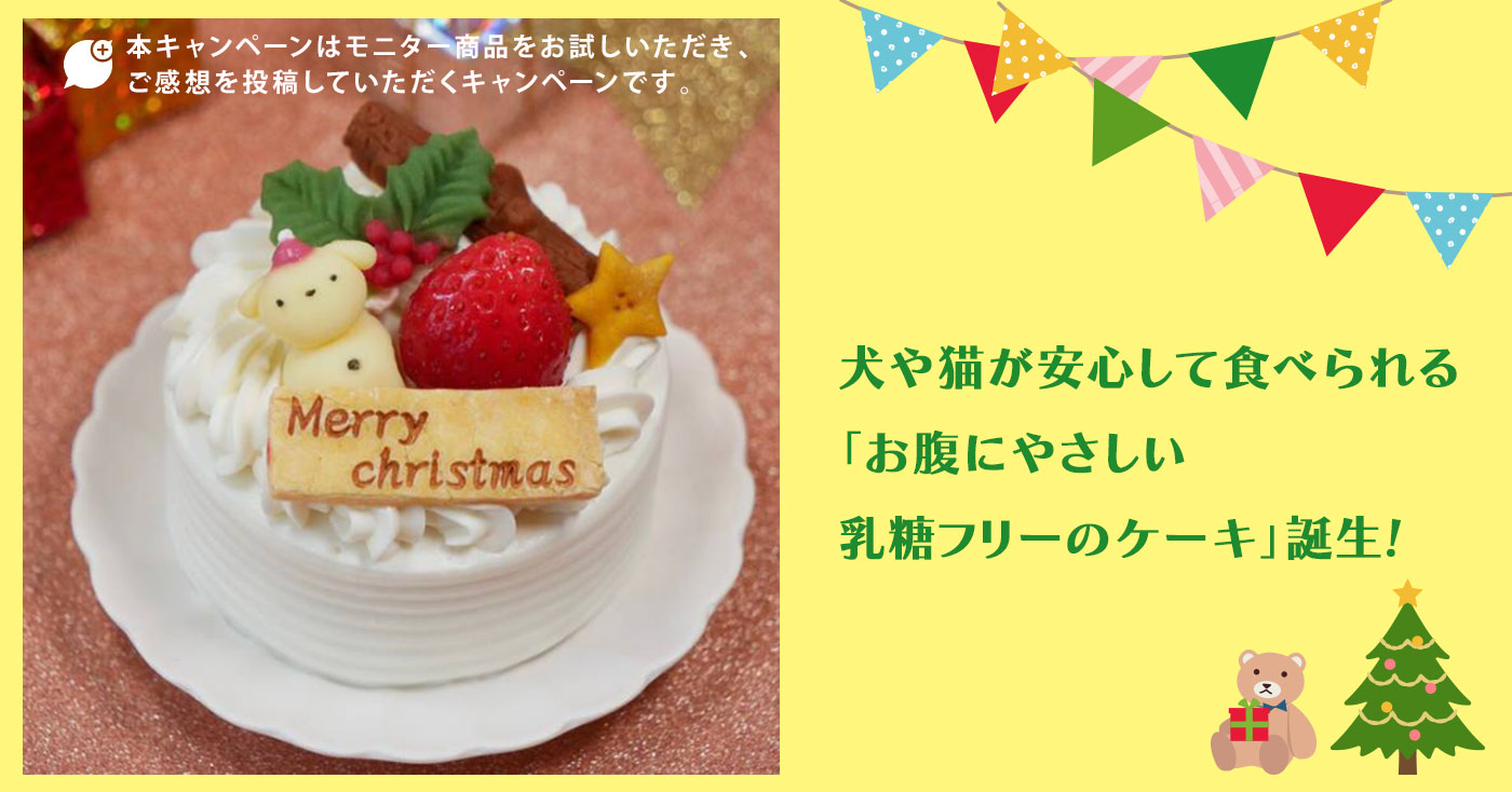 クリスマスホワイトいちごのショートケーキ【プチサイズ】ラクトース(乳糖)フリーケーキ