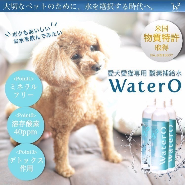 愛犬愛猫専用 酸素補給水 WaterO (ウォテロ)