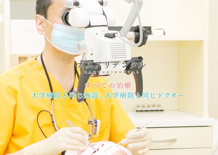 KAMEARIDENTAL（カメアリデンタル）のキャプチャ画像