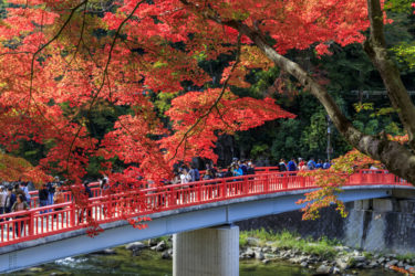 【2025年2月】豊田市周辺でおすすめのホワイトニング歯科12選