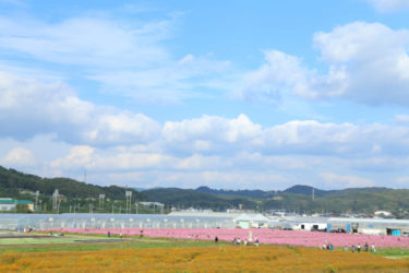 【2025年2月】山陽小野田市周辺でおすすめのホワイトニング歯科1選