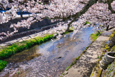 【2025年2月更新】島根県周辺でホワイトニングにおすすめのサロン・歯科11選